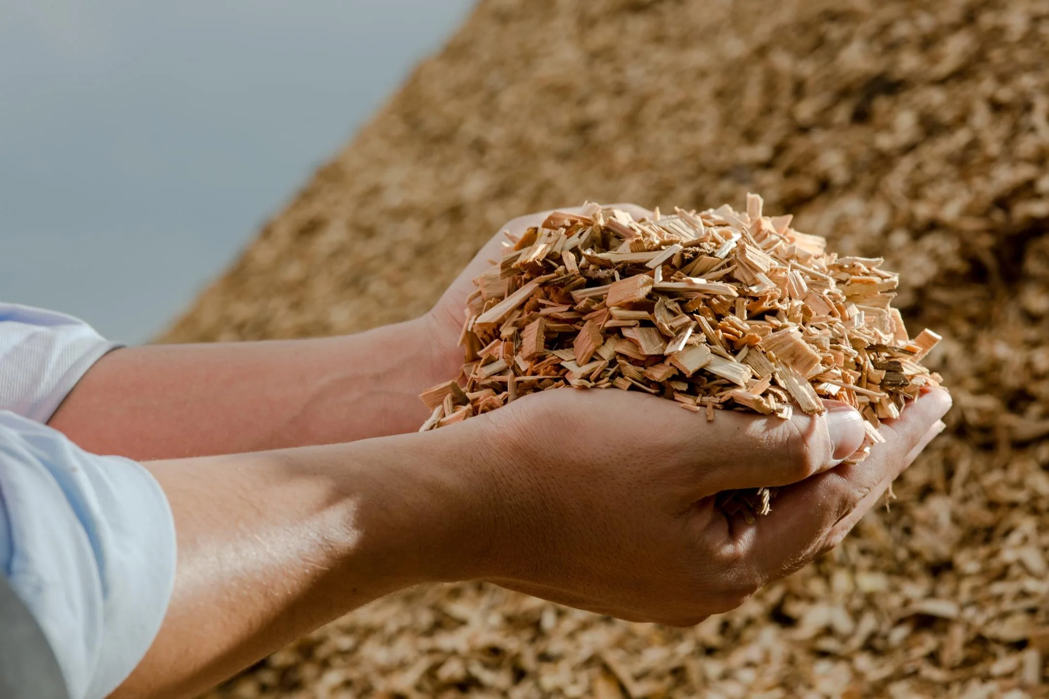 Industrial biomass fuel prepared for steam generation
