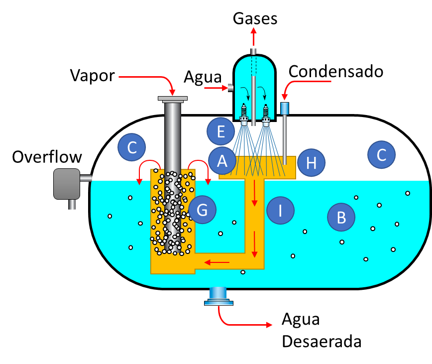 DSM deaerator diagram with internal flow arrangement